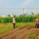 Polisi Dampingi Petani Labuapi Garap Lahan Pangan