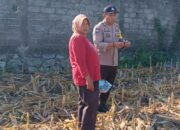 Cara Polres Lombok Barat Hidupkan Lahan Tidur Demi Perkuat Ketahanan Pangan Warga