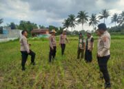 Waka Polres Lombok Tengah Mengecek Lahan Jagung di Dusun Arjangka Kecamatan Pringgarata