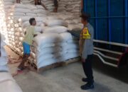 Polsek Gerung Kawal Ketat Distribusi Puluhan Ton Jagung Petani ke Gudang Bulog demi Amankan Stok Pangan