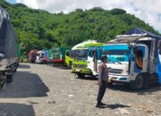 Pengiriman Hewan Ternak di Pelabuhan Lembar Kini Nihil Antrean