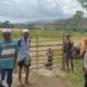 BHABINKAMTIBMAS DESA TANJU SAMBANG PETANI PADI, AJAK WARGA SISIHKAN HASIL PANEN UNTUK MUSIM TANAM BERIKUTNYA