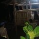 Warga Lembar Bisa Tidur Nyenyak, Polsek Lembar Jaga Ketat Kandang Ternak dari Incaran Maling Malam Hari