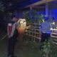 Cegah Pencurian Ternak Sapi, Polsek Sekotong Patroli Malam