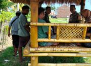 Petani Labuapi Didorong Tanam Jagung Demi Pangan
