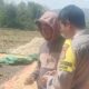BHABINKAMTIBMAS DESA RASABOU PANTAU HASIL PANEN JAGUNG WARGA