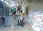 Polsek Gerung dan Mitra Pastikan Pasokan Jagung Aman untuk Ketahanan Pangan