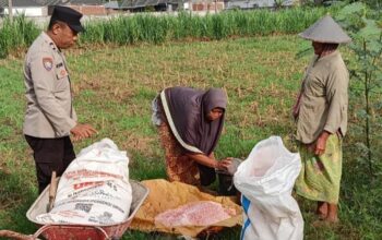 Bhabinkamtibmas Polsek Labuapi Dampingi Petani Olah Lahan