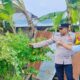 Kemandirian Pangan Dimulai dari Rumah, Bhabinkamtibmas di Lombok Barat Edukasi Warga Manfaatkan Lahan Kosong Secara Maksimal