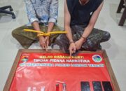 Polres Loteng Ringkus Lima Terduga Pengedar Sabu di Praya Timur dan Jonggat
