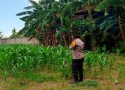 Polsek Labuapi Dorong Warga Manfaatkan Pekarangan untuk Ketahanan Pangan