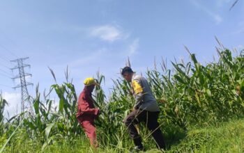 Lewat Pendampingan Pertanian, Polres Lombok Barat Pacu Produktivitas Pangan Desa
