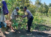 Sinergi Polisi dan Petani Lombok Barat Optimalkan Lahan Hortikultura Desa