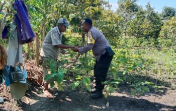 Sinergi Polisi dan Petani Lombok Barat Optimalkan Lahan Hortikultura Desa