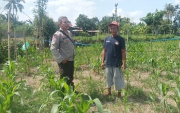 Turun Langsung ke Sawah, Cara Polres Lombok Barat Perkuat Ketahanan Pangan Nasional
