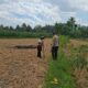 Bhabinkamtibmas Desa Sukadana Monitoring Tanaman Jagung Milik Kelompok Tani Dile Semprong I
