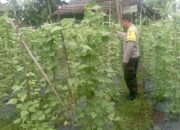 Bhabinkamtibmas Desa Kesik Cek Lahan Ketahanan Pangan Bergizi, Dukung Budidaya Kacang Panjang di Dusun Munsok