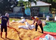 Bhabinkamtibmas dan Petani Bersinergi Perkuat Ketahanan Pangan di Kabupaten Dompu