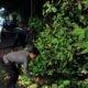 Patroli Malam Polsek Batulayar Evakuasi Pohon Tumbang di Tanjakan Alberto