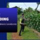 Polri Dukung Astacita, Polsek Semanding Polres Tuban Turun Cek Tanaman jagung milik Warga di Desa Kowang