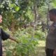 Sinergi Polisi dan Warga Senggigi Sulap Pekarangan Jadi Kebun