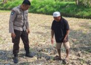 Bhabinkamtibmas Desa Sukadana Monitoring Lahan Jagung Milik Ketua Gapoktan Dile Semprong