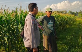 Wujudkan Ketahanan Pangan Nasional, Polsek Labuapi Gencarkan Edukasi Tanam Komoditas Produktif