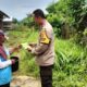 Bhabinkamtibmas Labuapi Turun Tangan, Dorong Kemandirian Pangan Keluarga Lewat Pekarangan Bergizi