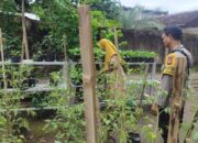 Sentuhan Humanis Polri di Desa Bengkel Dampingi Petani Rawat Padi demi Ketahanan Pangan