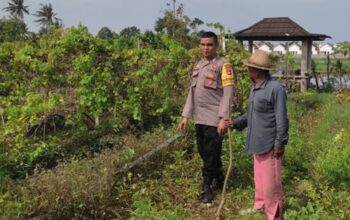 Aksi Bhabinkamtibmas Desa Kuranji Dalang Kawal Pertanian Lombok Barat