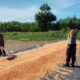 Bhabinkamtibmas Polsek Pekat Dampingi Petani Pascapanen, Dorong Pengelolaan Hasil Jagung untuk Keberlanjutan Usaha Tani