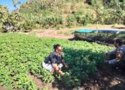 Dukung Asta Cita Ketahanan Pangan, Bhabinkamtibmas Desa Labuhan Badas Motivasi Warga Optimalkan Lahan Produktif