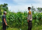 Kemandirian dari Rumah Bagaimana Polsek Labuapi Membangun Fondasi Ketahanan Pangan Nasional