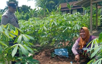 Strategi Polsek Labuapi Wujudkan Ketahanan Pangan dan Tekan Belanja Bulanan Warga