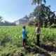 Bhabinkamtibmas Desa Kalianyar Cek Ketahanan Pangan, Pastikan Tanaman Jagung Warga Tumbuh Optimal