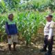 Dukung Ketahanan Pangan Nasional, Polsek Gerung Dampingi Petani di Lombok Barat