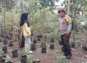 Langkah Konkret Polsek Labuapi Dorong Optimalisasi Lahan Produktif dan Pekarangan Warga