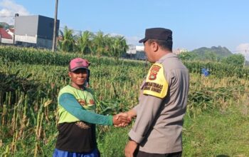 Sinergi Bhabinkamtibmas dan Petani Lombok Barat Perkuat Ketahanan Pangan Desa