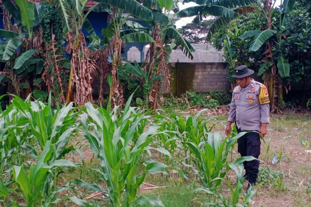 Wujudkan Ketahanan Pangan Desa, Polsek Labuapi Pererat Sinergi Bersama Petani Lombok Barat