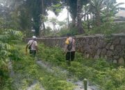Bhabinkamtibmas Desa Kesik Cek Lahan Ketahanan Pangan Bergizi, Dukung Budidaya Tanaman Cabai
