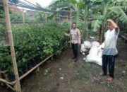 Solusi Keterbatasan Lahan, Bhabinkamtibmas Gerung Edukasi Warga Tanam Sayur Menggunakan Polybag