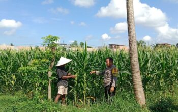 Dukung Swasembada Pangan, Polsek Labuapi Turun Langsung Mendampingi Petani di Lombok Barat