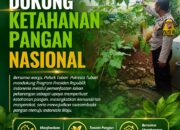 Polsek Tuban Monitoring Pekarangan Pangan Bergizi, Dukung Ketahanan Pangan Nasional*