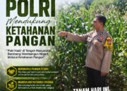 Polri Dukung Astacita, Polsek Merakurak Polres Tuban Turun Cek Tanaman Jagung Warga di Desa Tuwiri Kulon