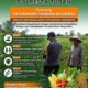 ANGGOTA POLSEK GRABAGAN SAMBANG DESA BINAAN, PANTAU LAHAN JAGUNG DAN MEMASTIKAN SISTEM IRIGASI MASIH LANCAR