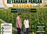 Polri mendukung Program ASTACITA Presiden RI, Anggota Polsek Parengan Polresta Tuban laksanakan pendampingan petani melon di Desa Kumpulrejo Kec. Parengan