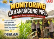 Polisi Polsek jenu Polres Tuban Turun ke Ladang, Dampingi Petani Jagung Dukung Ketahanan Pangan