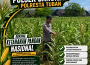 POLSEK BANGILAN MONITORING KETAHANAN PANGAN TANAMAN JAGUNG