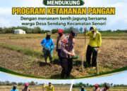 Anggota Bhabinkamtibmas Polsek Senori Polresta Tuban Dampingi Petani Tanam Benih Jagung Wujudkan Ketahanan Pangan Nasional