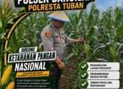 MONITORING KETAHANAN PANGAN TANAMAN JAGUNG DI WILAYAH KECAMATAN BANGILAN